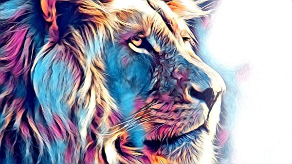 Animals Wall Art Canvas Print 53 | WallAura Qatar